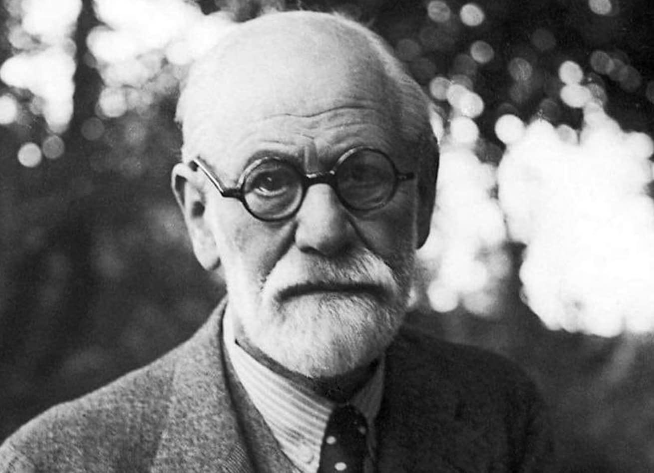 Caro Professor Freud